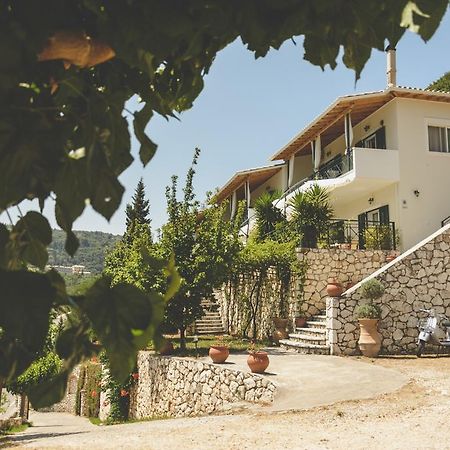 Althea Studios Lefkada Áyios Nikítas 部屋 写真