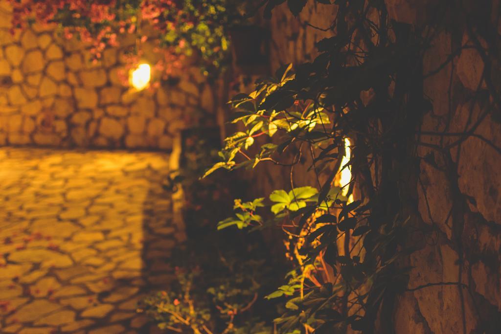 Althea Studios Lefkada Áyios Nikítas 部屋 写真