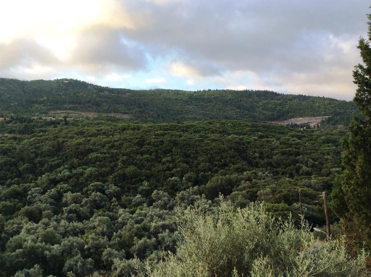 Althea Studios Lefkada Áyios Nikítas エクステリア 写真