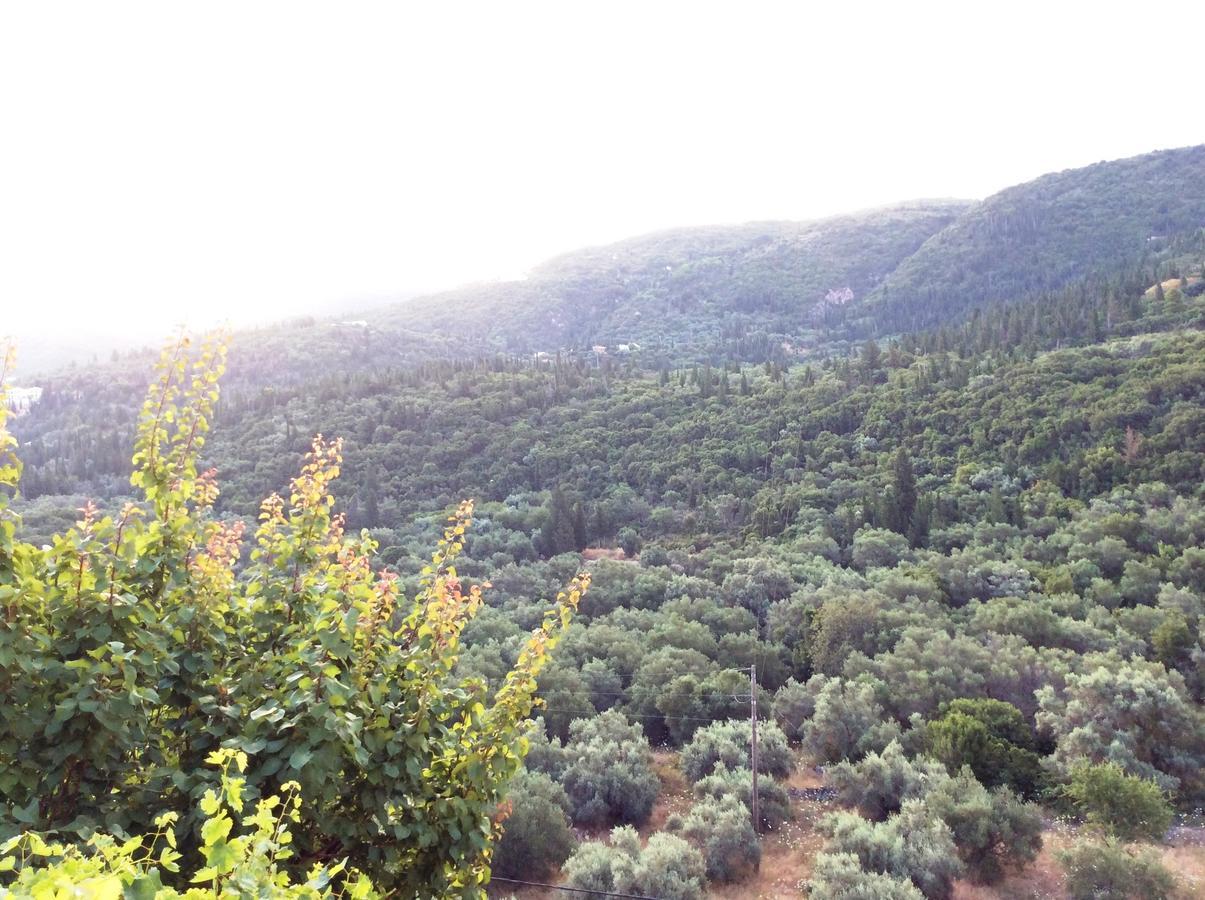 Althea Studios Lefkada Áyios Nikítas エクステリア 写真